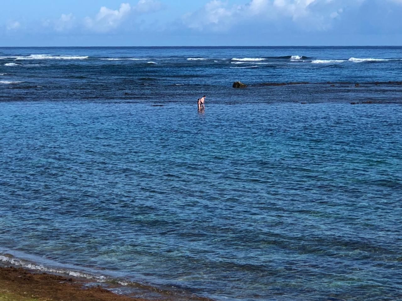 Mokule'Ia Beach Houses At Owen'S Retreat Waialua Dış mekan fotoğraf
